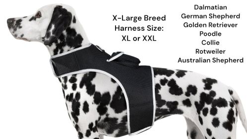 Mini Waterproof GPS Tracker for Dog Collar w/ Perimeter Fencing System Size:XS