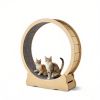 Wooden Cat Exercise Wheel